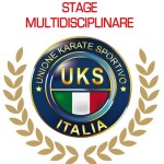 stage-multi