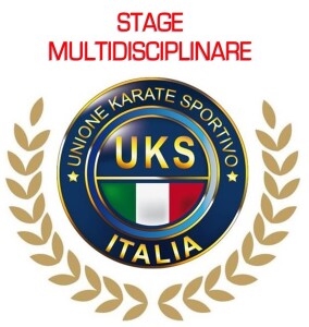 stage-multi